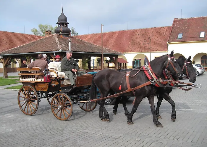 Hotel Sudicky Dvur Boskovice
